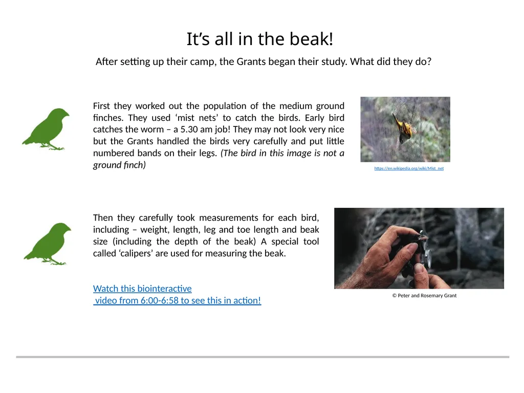 A RESOURCE BROUGHT TO YOU BY THE GALAPAGOS - slide 7 of 12