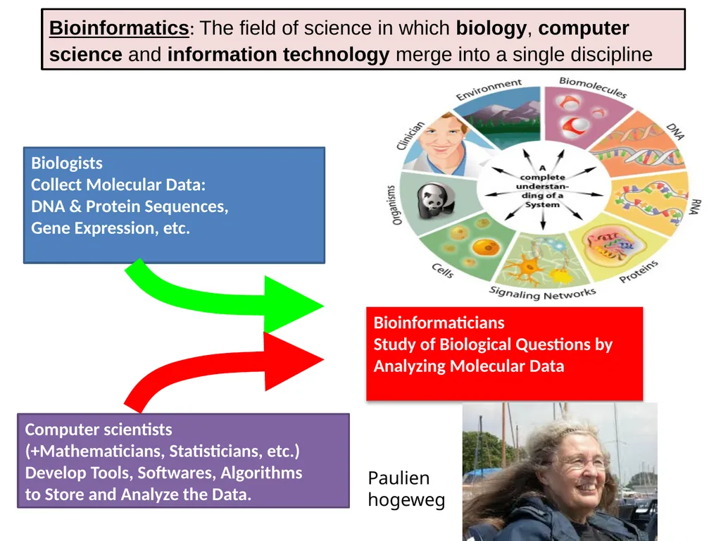 Dr. Prativa Deka Associate Professor Department of - slide 2 of 19
