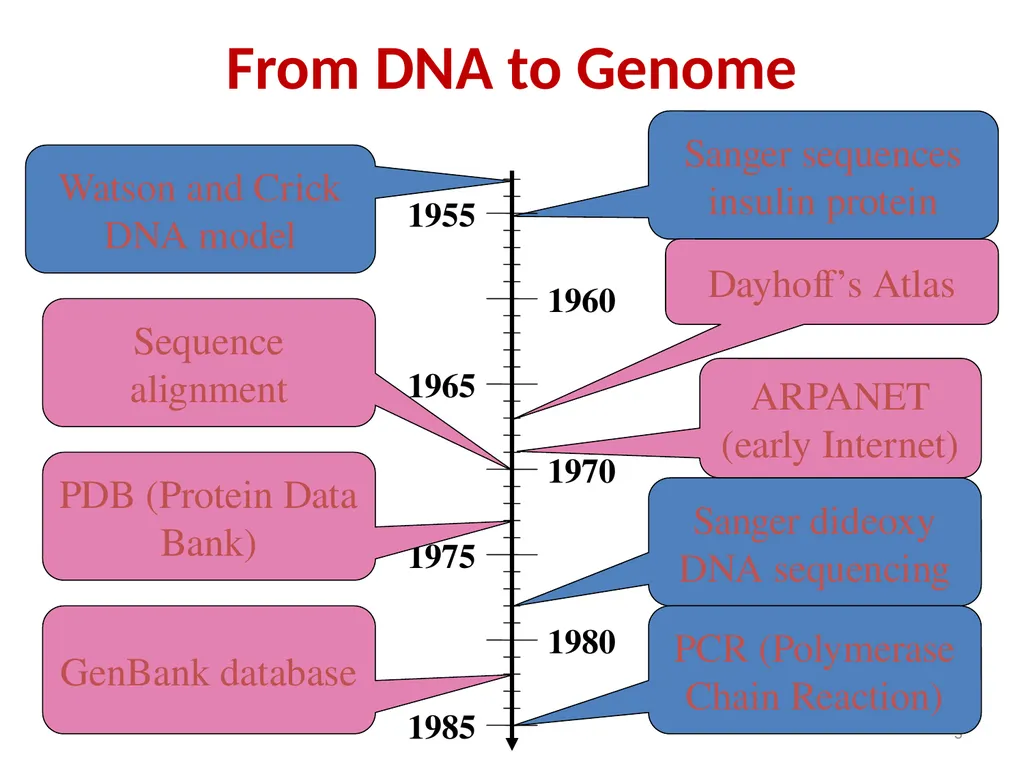 Dr. Prativa Deka Associate Professor Department of - slide 3 of 19