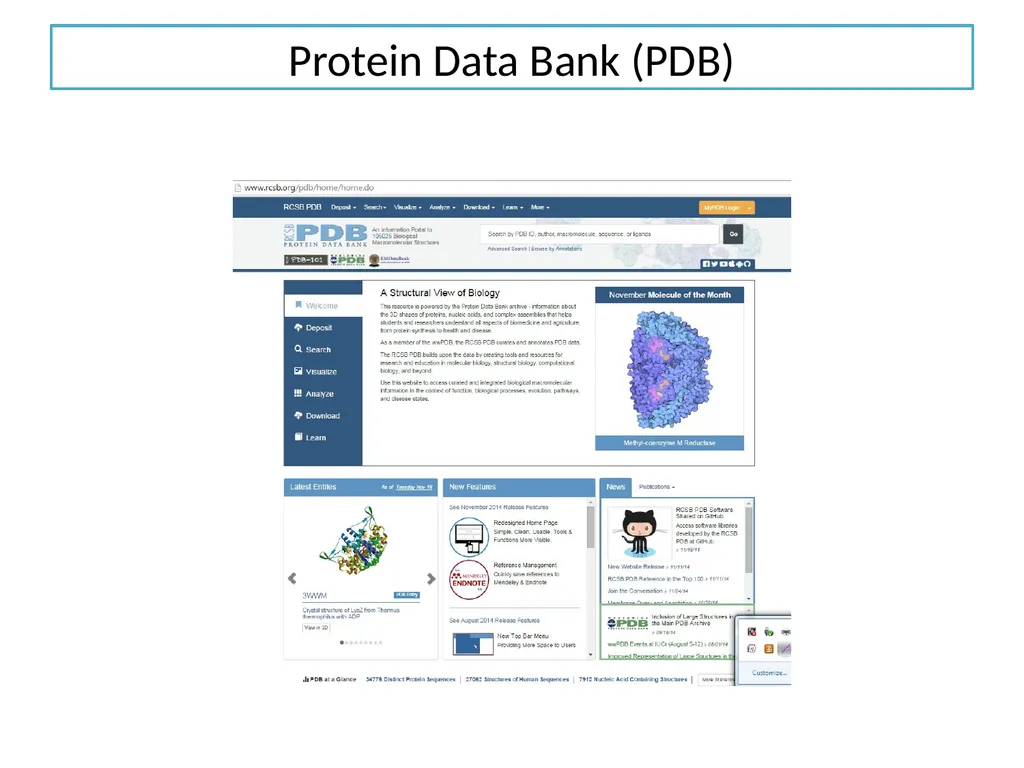 Dr. Prativa Deka Associate Professor Department of - slide 16 of 19