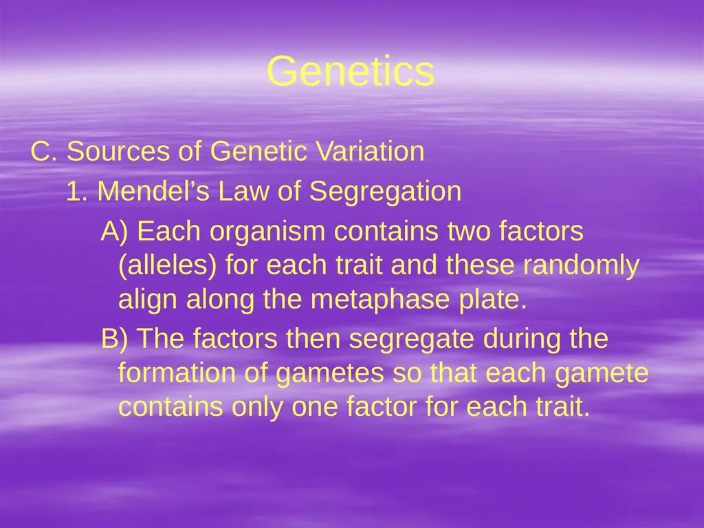 Genetics A. The Vocabulary of Genetics 1. - slide 17 of 20