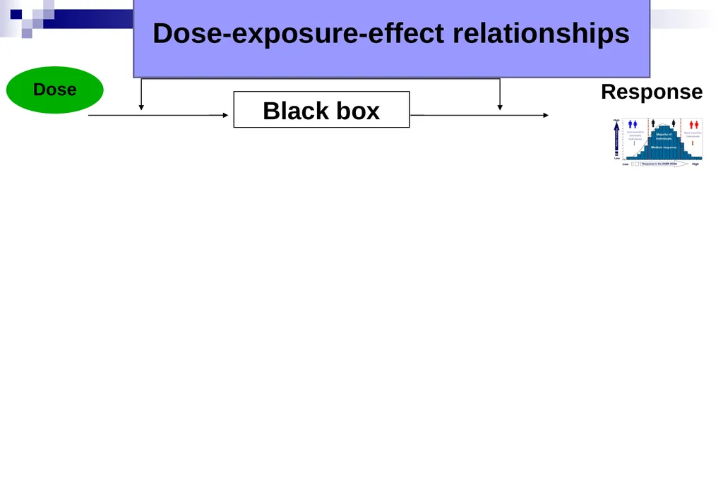 Pharmacokinetics and pharmacodynamics An overview - slide 13 of 40