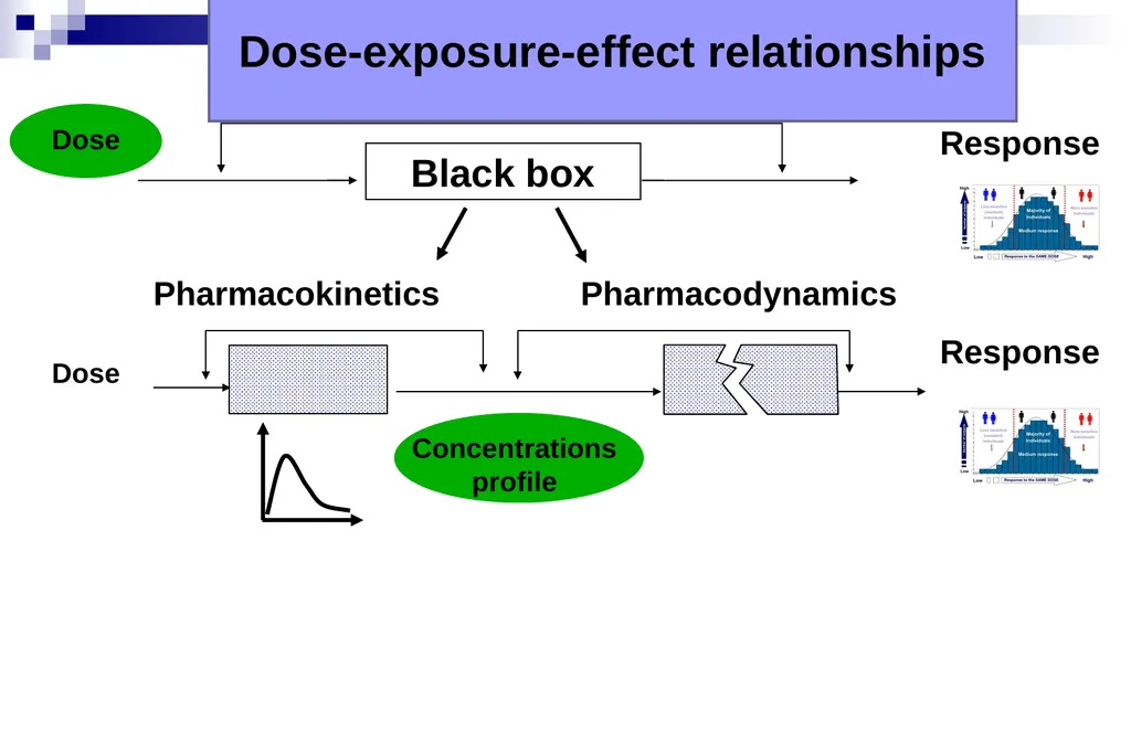 Pharmacokinetics and pharmacodynamics An overview - slide 14 of 40