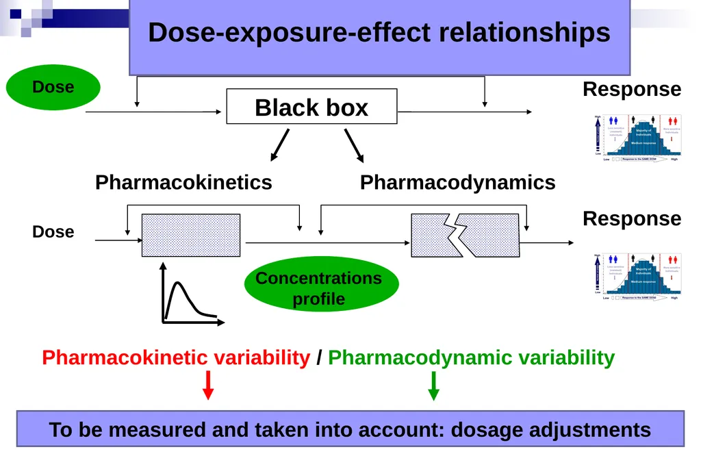 Pharmacokinetics and pharmacodynamics An overview - slide 15 of 40