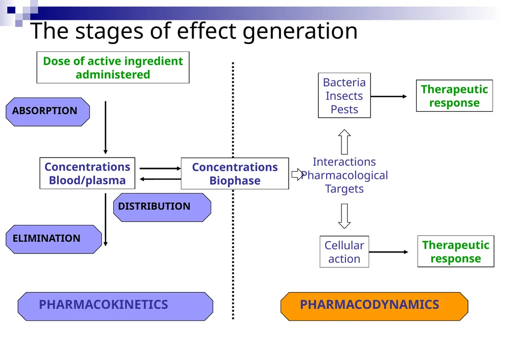Pharmacokinetics and pharmacodynamics An overview - slide 4 of 40