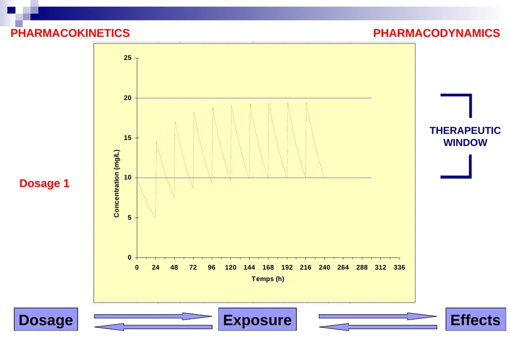 Pharmacokinetics and pharmacodynamics An overview - slide 22 of 40