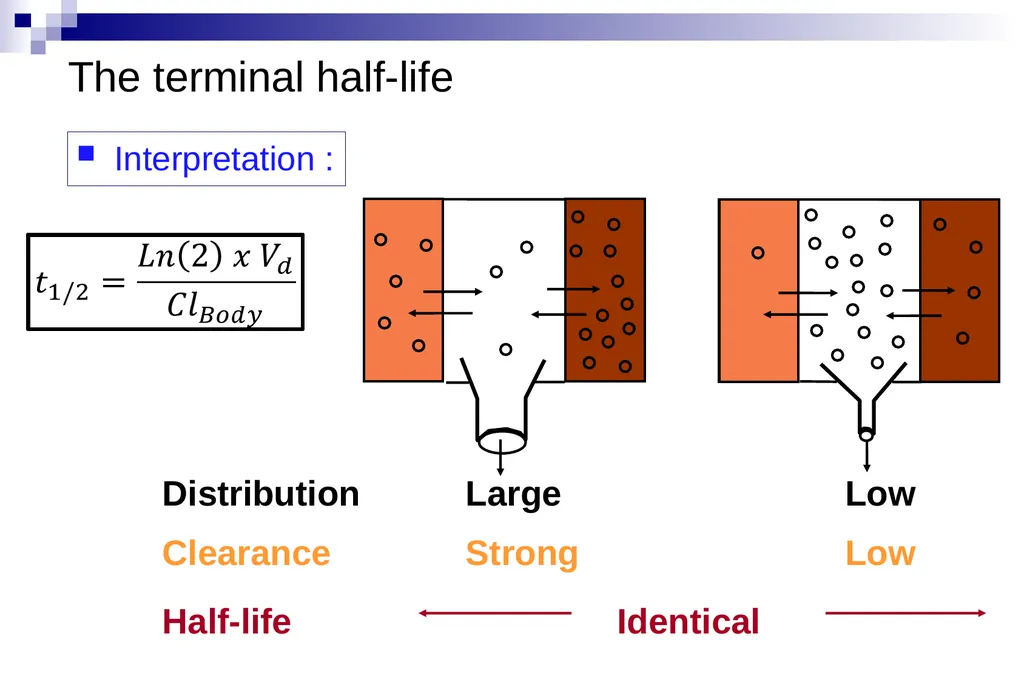 Pharmacokinetics and pharmacodynamics An overview - slide 39 of 40