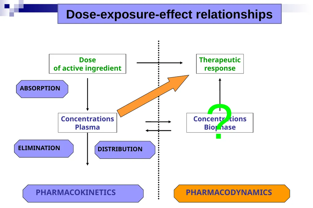 Pharmacokinetics and pharmacodynamics An overview - slide 12 of 40