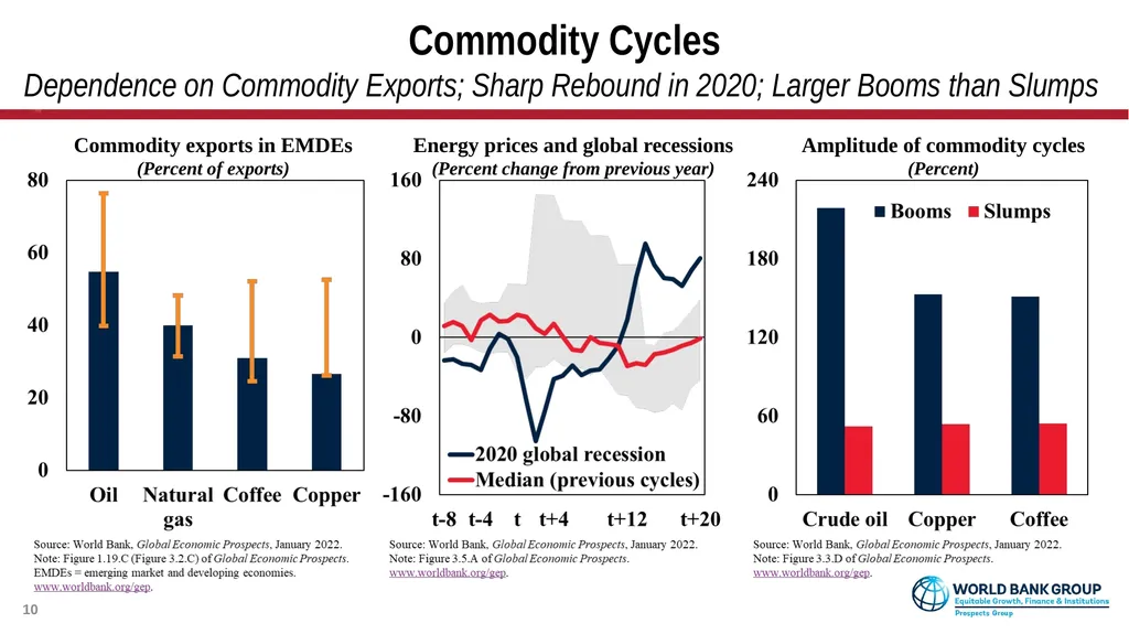 Global Economic Prospects January 2022 - slide 10 of 16