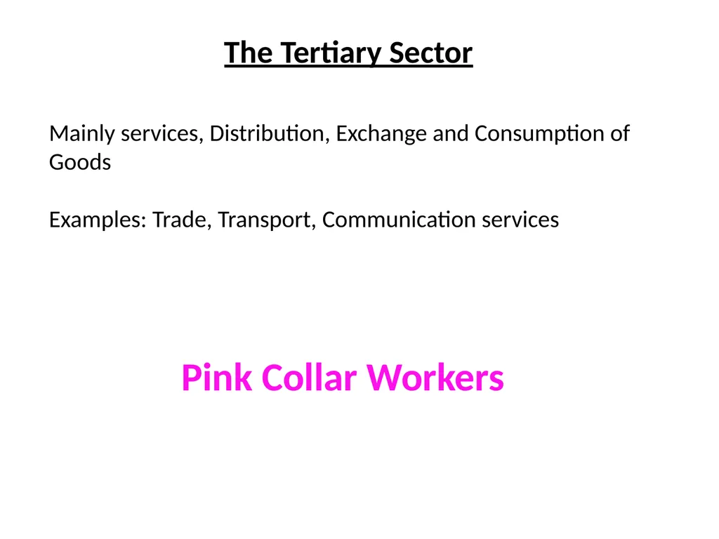 Concept and Classification of Economic Activities - slide 7 of 12