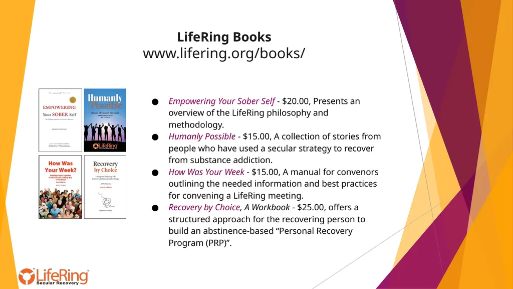 Empower Your Sober Self Opening Message LIFERING - slide 6 of 8
