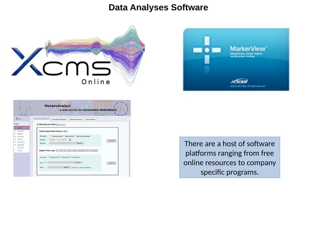 Untargeted Metabolomics: Tandem LC-MSMS Column and - slide 9 of 10