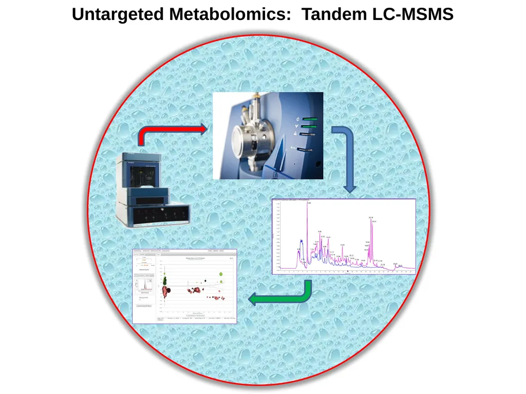 Untargeted Metabolomics: Tandem LC-MSMS Column and - slide 1 of 10