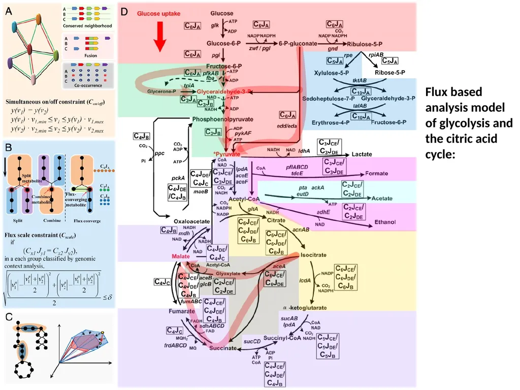 Current Progress in computational metabolomics - slide 29 of 33