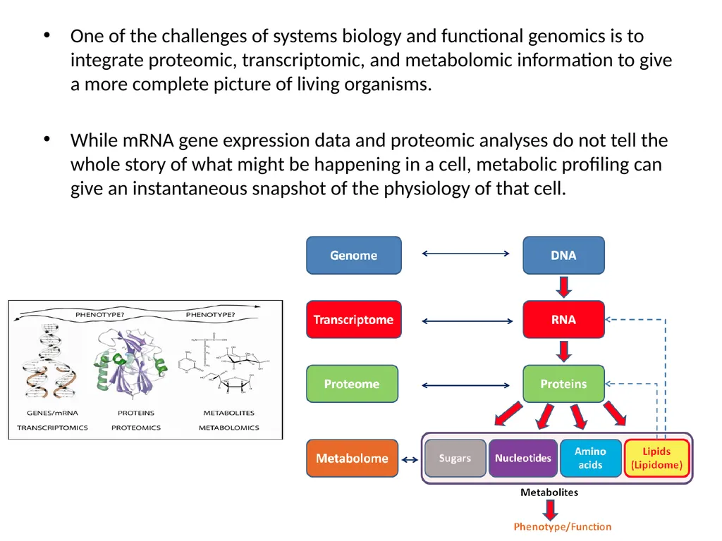 Current Progress in computational metabolomics - slide 4 of 33
