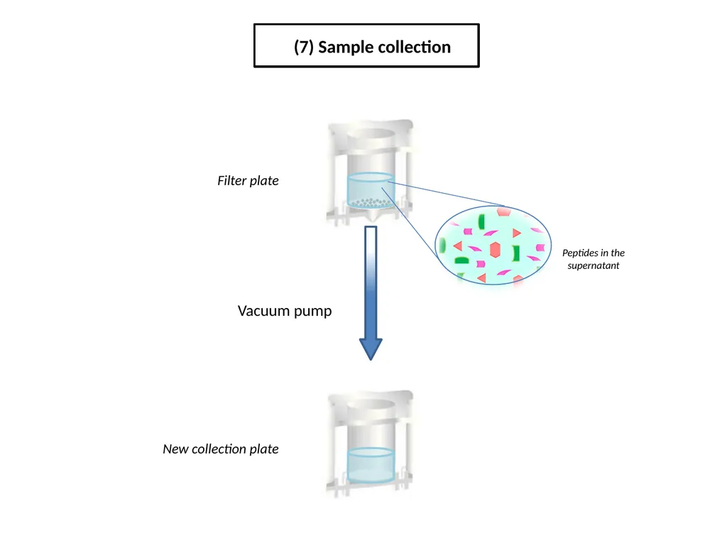 ESF/EuroCleftNet Project Overview on Oligo - slide 9 of 19