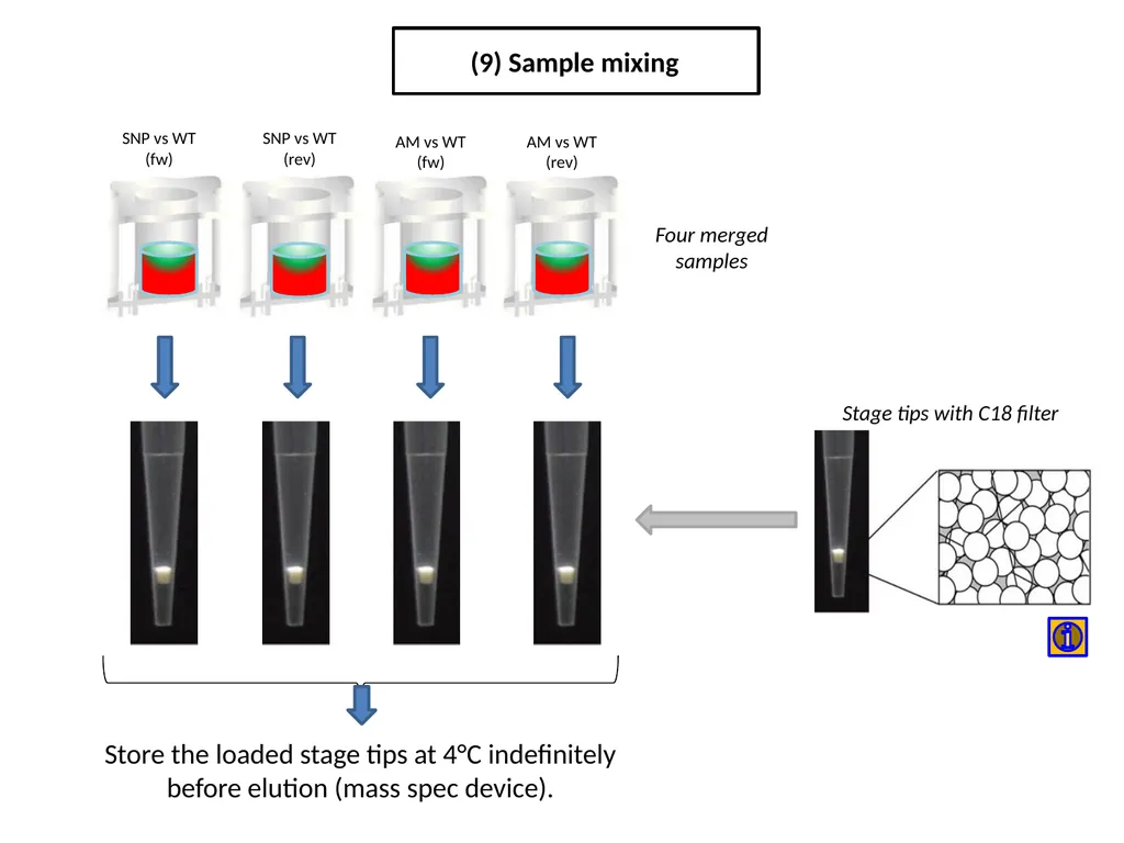 ESF/EuroCleftNet Project Overview on Oligo - slide 13 of 19