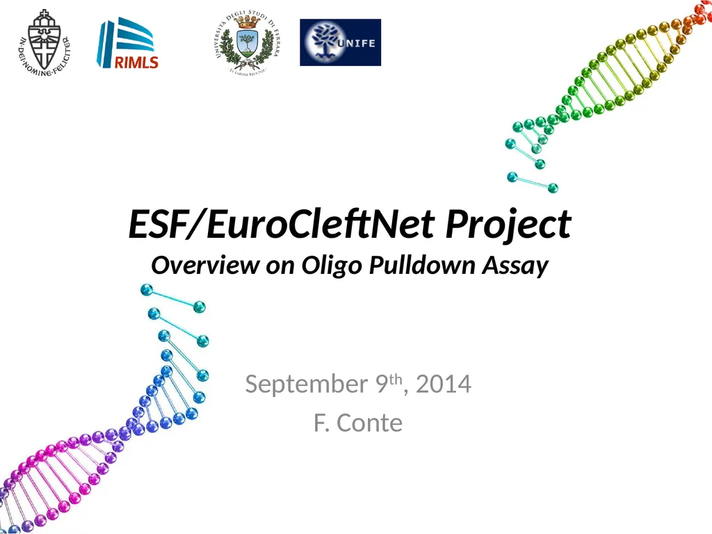 ESF/EuroCleftNet Project Overview on Oligo - slide 1 of 19
