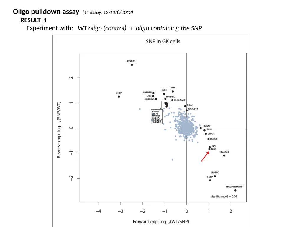 ESF/EuroCleftNet Project Overview on Oligo - slide 16 of 19