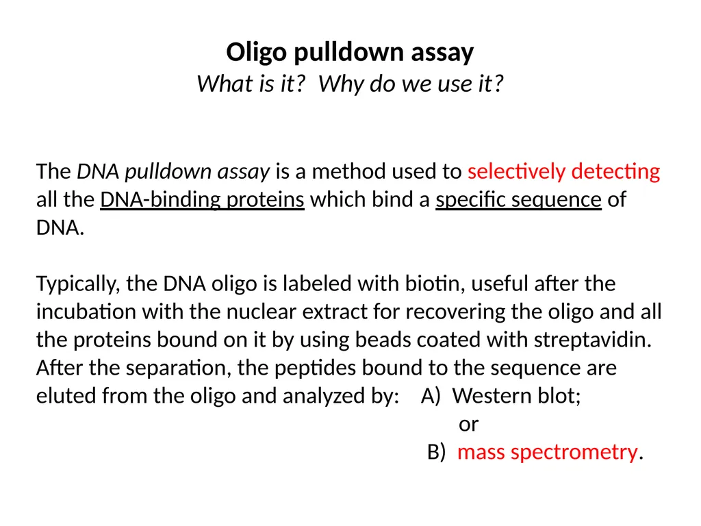 ESF/EuroCleftNet Project Overview on Oligo - slide 2 of 19