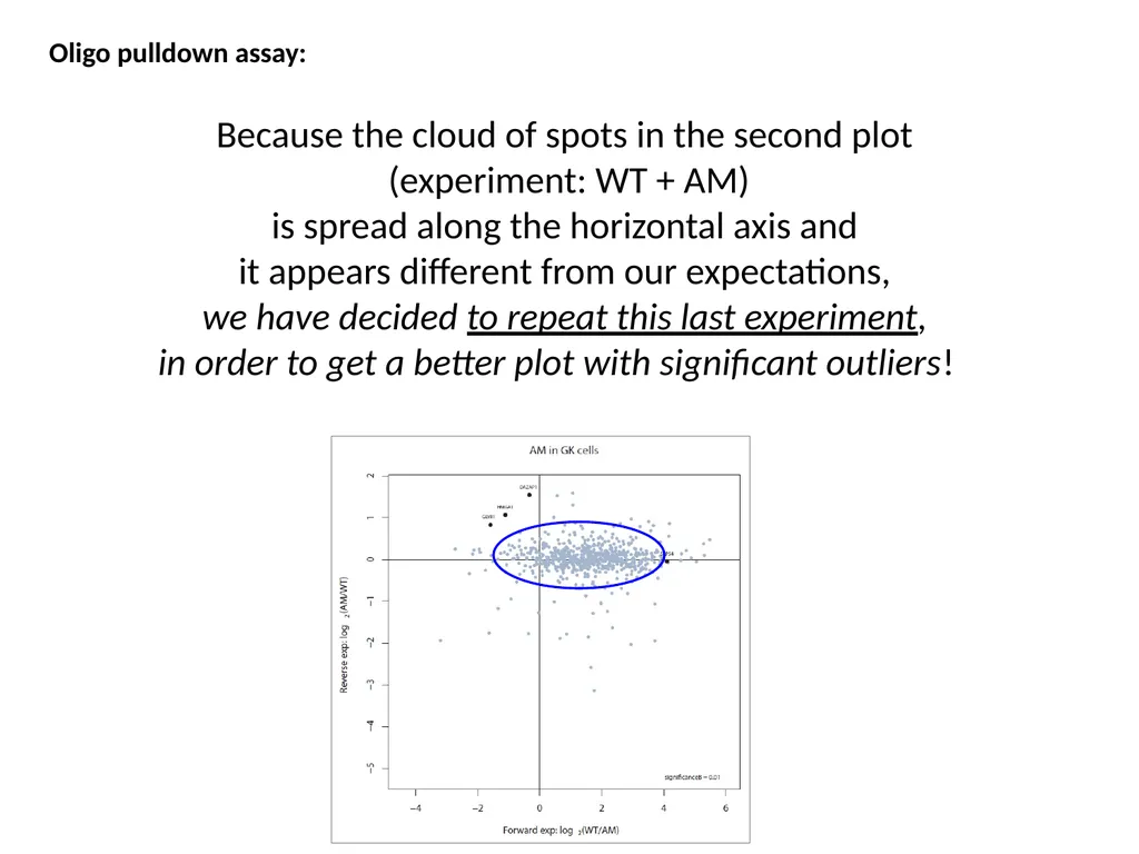 ESF/EuroCleftNet Project Overview on Oligo - slide 19 of 19