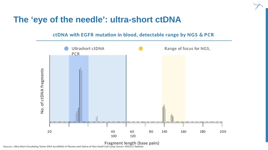 Finding the needle in the haystack Convergence of - slide 22 of 27
