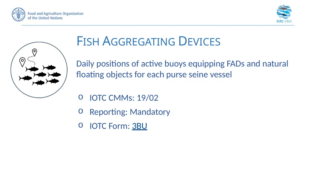 IOTC forms for reporting datasets - slide 25 of 31