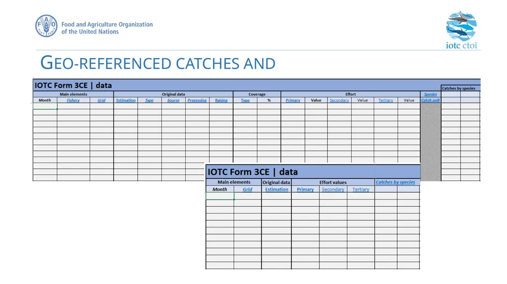 IOTC forms for reporting datasets - slide 20 of 31