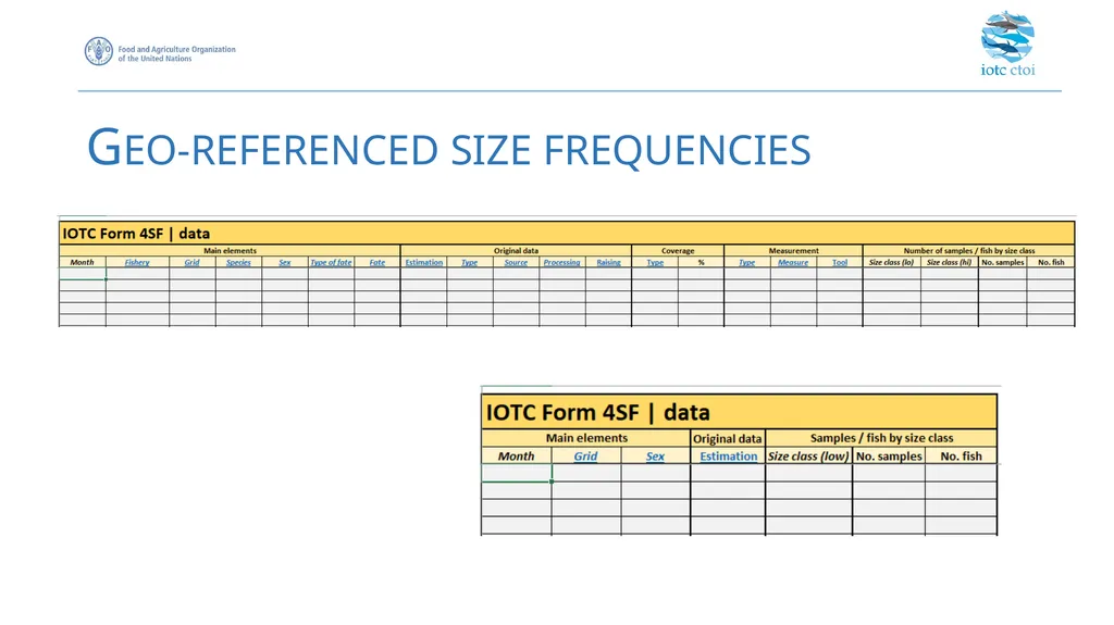 IOTC forms for reporting datasets - slide 28 of 31