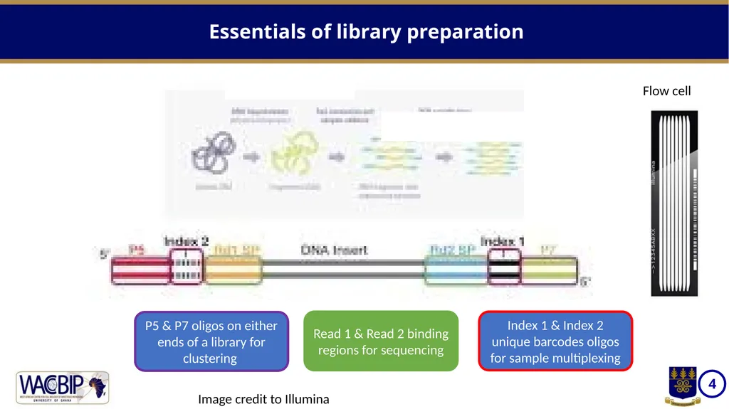 NGS workflows Massively parallel sequencing of - slide 4 of 12