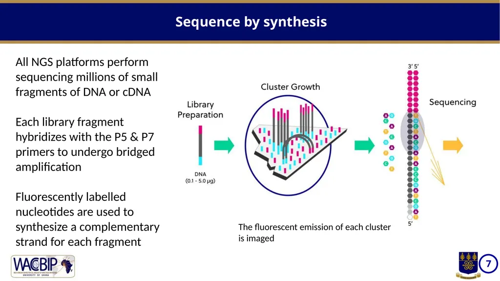 NGS workflows Massively parallel sequencing of - slide 7 of 12