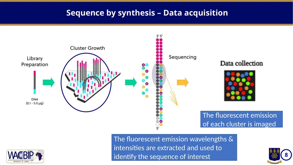 NGS workflows Massively parallel sequencing of - slide 8 of 12