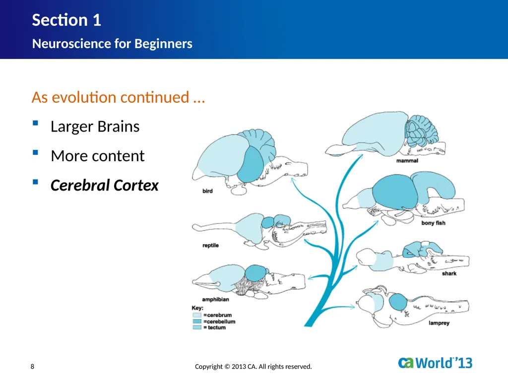 Artificial Consciousness: A CA IDMS™ Database - slide 8 of 36