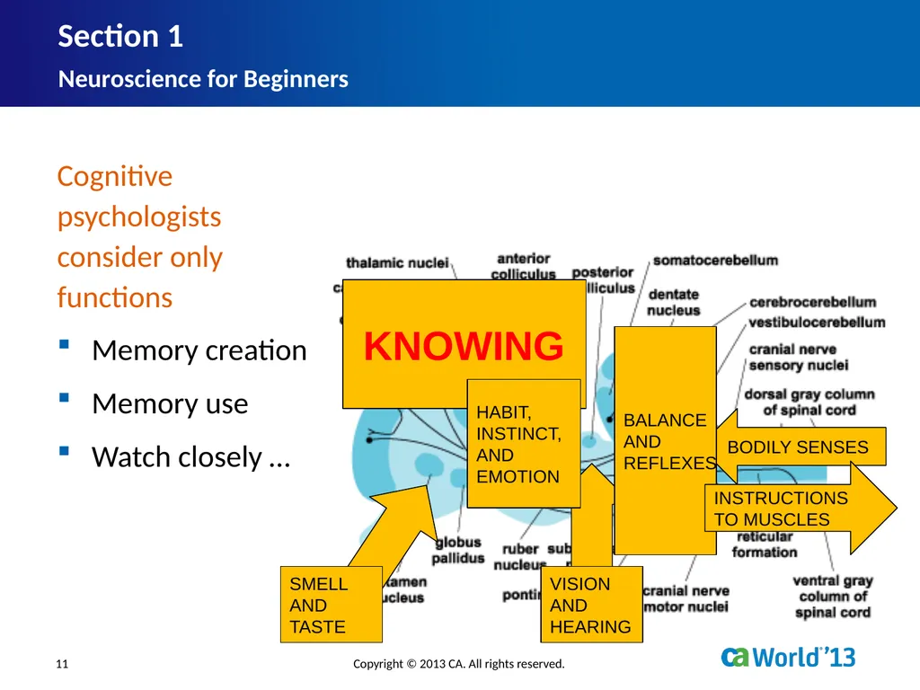 Artificial Consciousness: A CA IDMS™ Database - slide 11 of 36