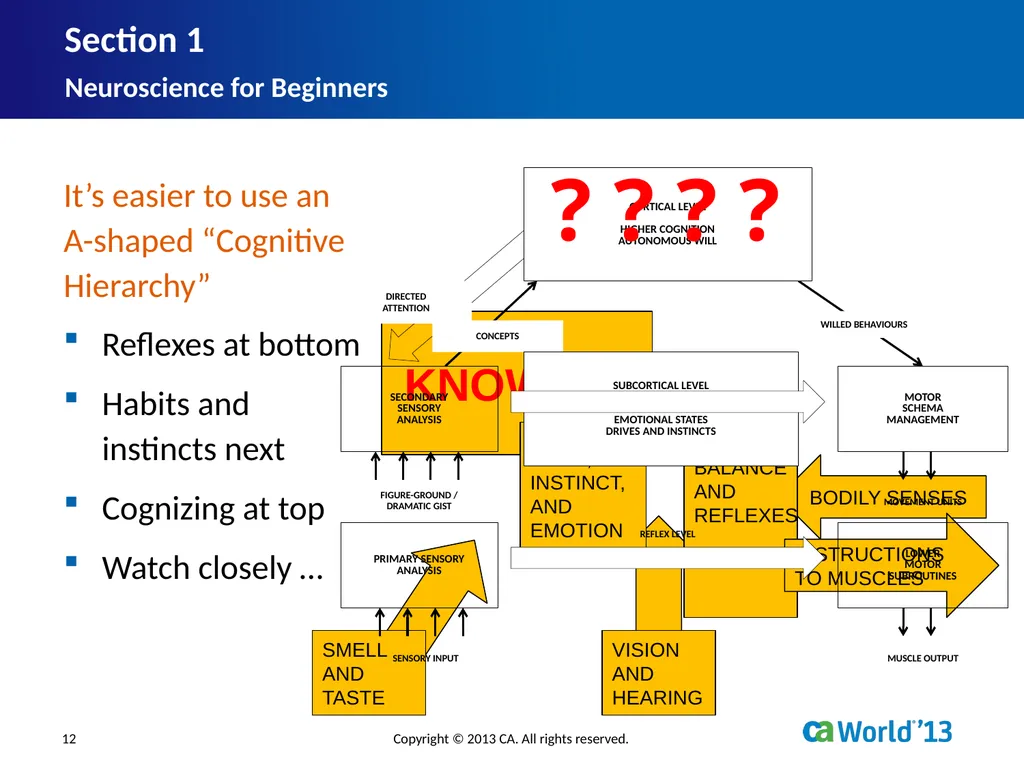 Artificial Consciousness: A CA IDMS™ Database - slide 12 of 36