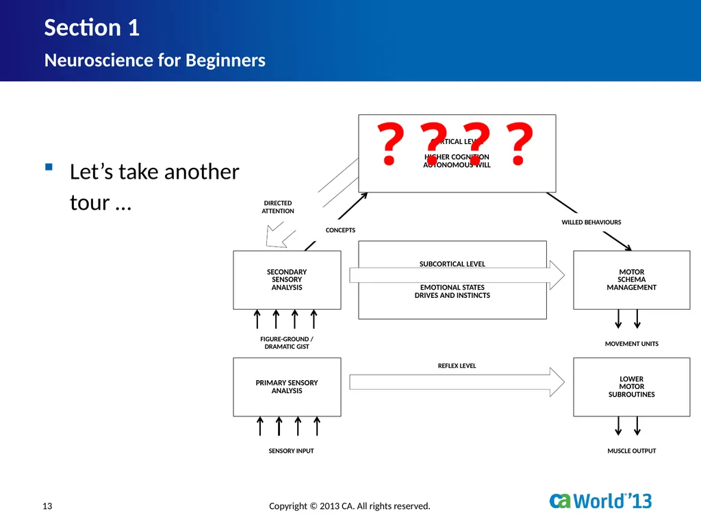Artificial Consciousness: A CA IDMS™ Database - slide 13 of 36