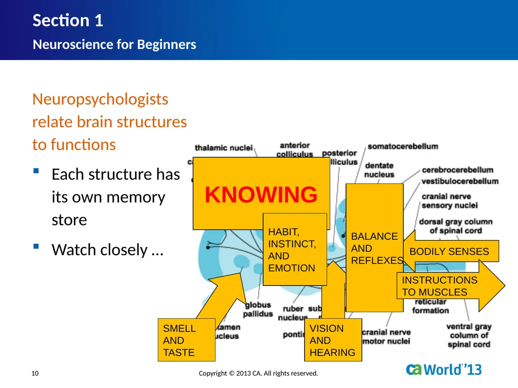 Artificial Consciousness: A CA IDMS™ Database - slide 10 of 36