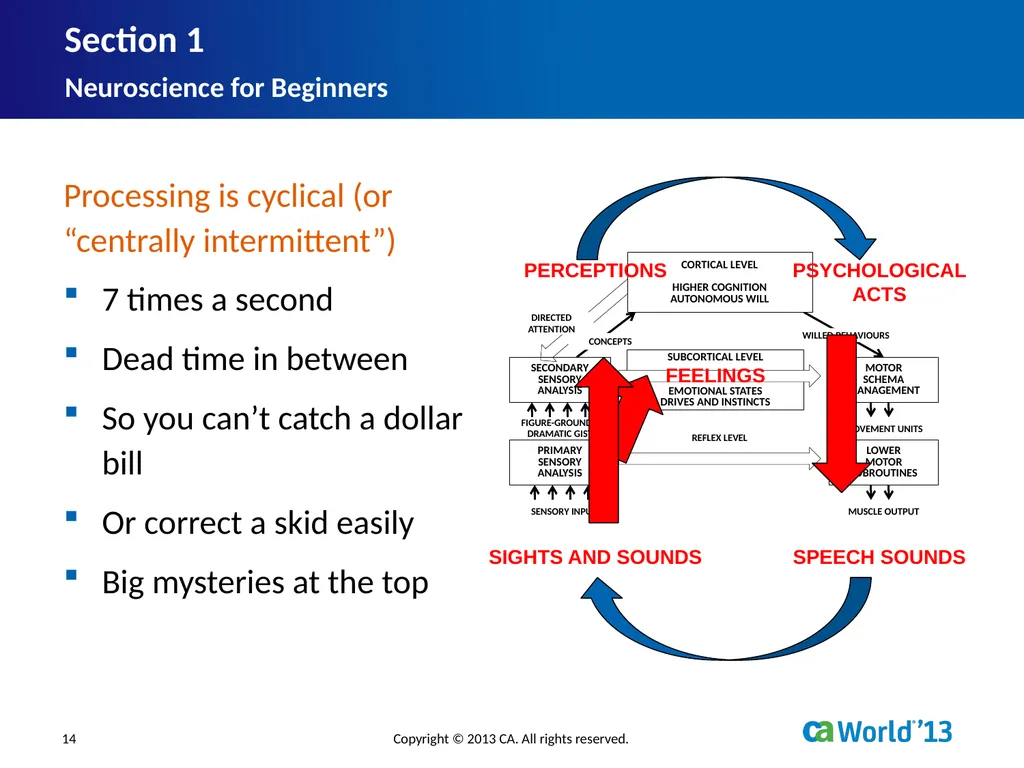 Artificial Consciousness: A CA IDMS™ Database - slide 14 of 36