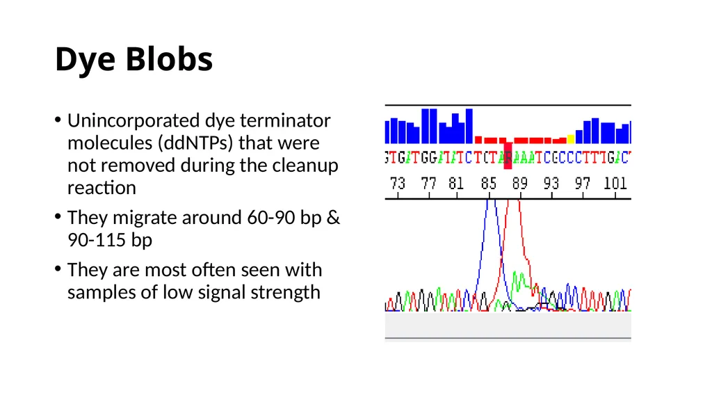 Sanger Sequencing Troubleshooting OSUCCC Genomics - slide 15 of 33