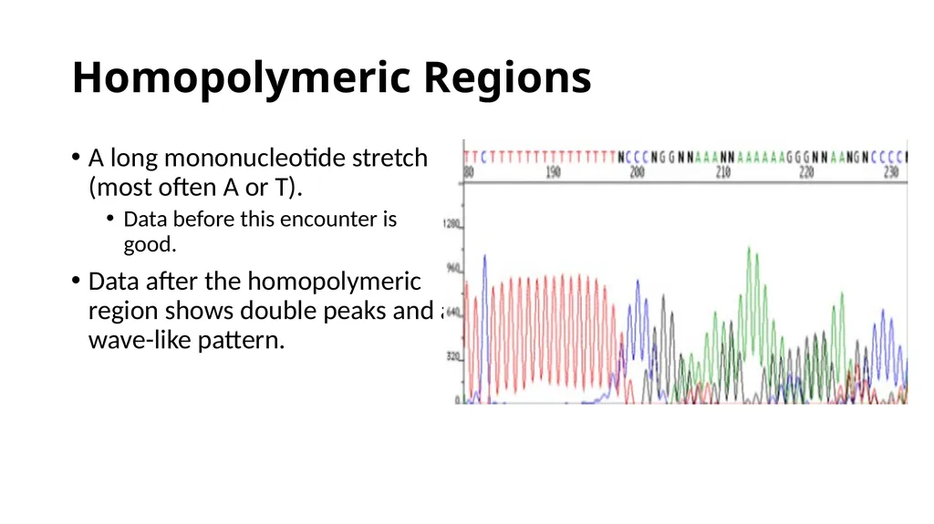 Sanger Sequencing Troubleshooting OSUCCC Genomics - slide 20 of 33