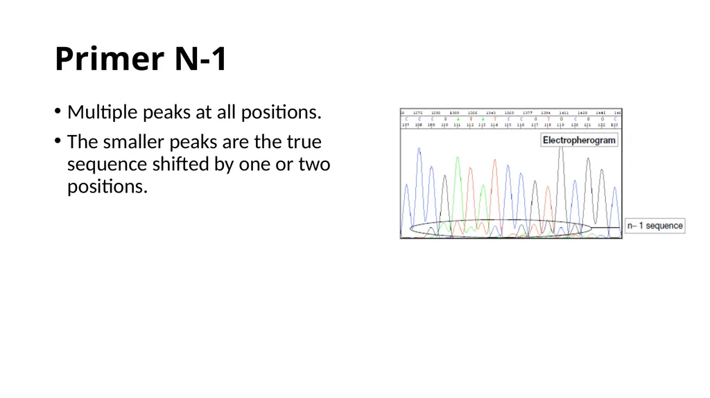 Sanger Sequencing Troubleshooting OSUCCC Genomics - slide 31 of 33