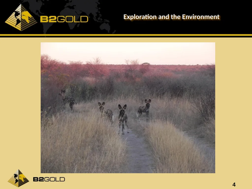 Exploration and the Environment Exploration has a - slide 4 of 9
