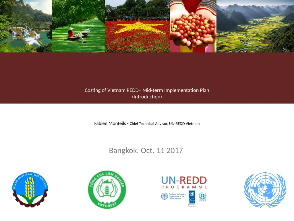 Costing of Vietnam REDD+ Mid-term Implementation - slide 1 of 9