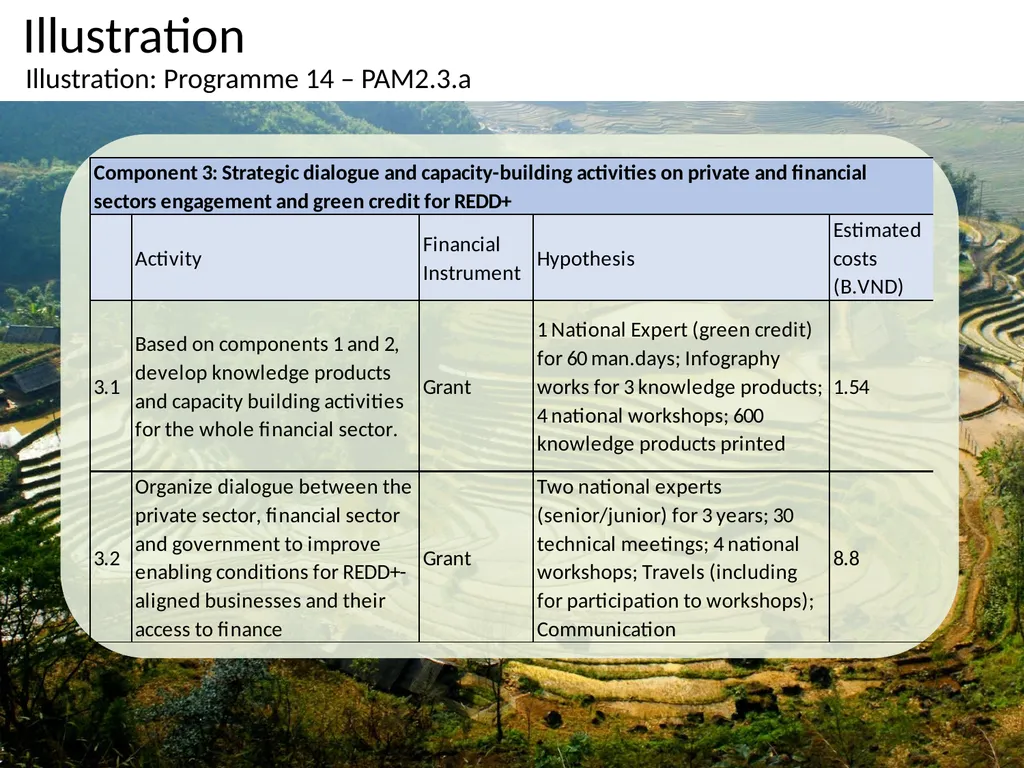 Costing of Vietnam REDD+ Mid-term Implementation - slide 6 of 9