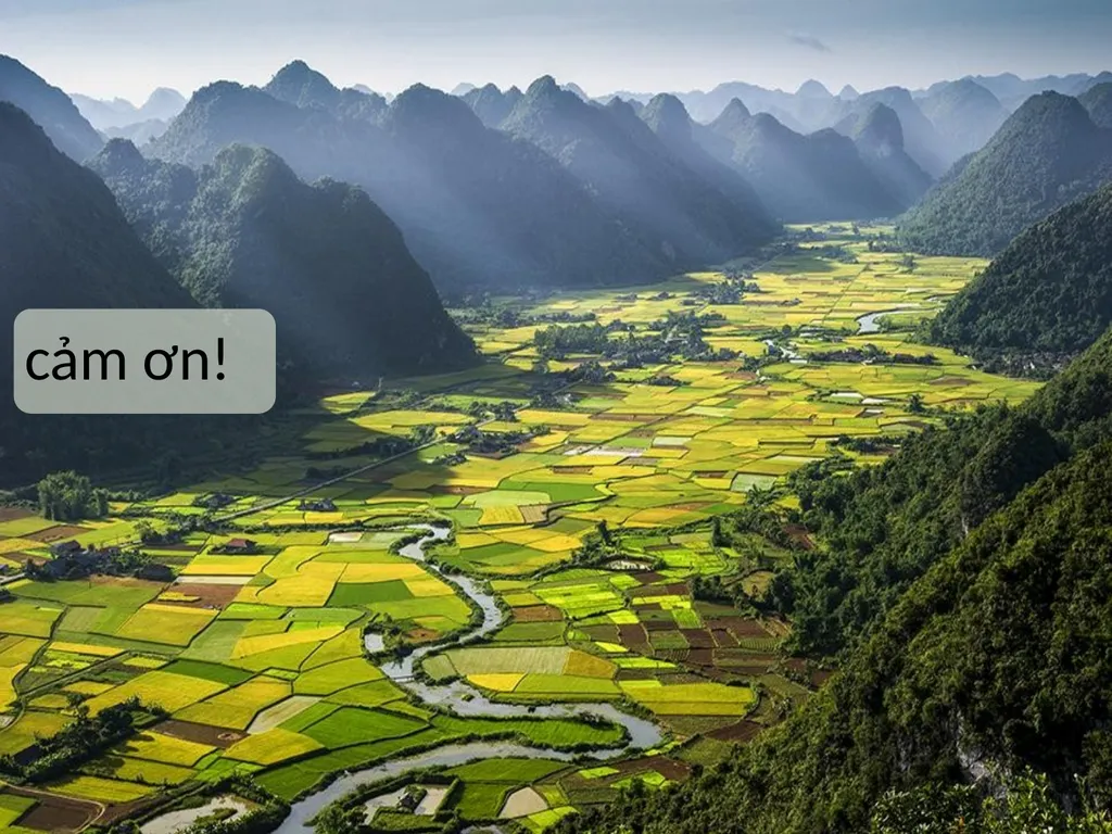 Costing of Vietnam REDD+ Mid-term Implementation - slide 9 of 9