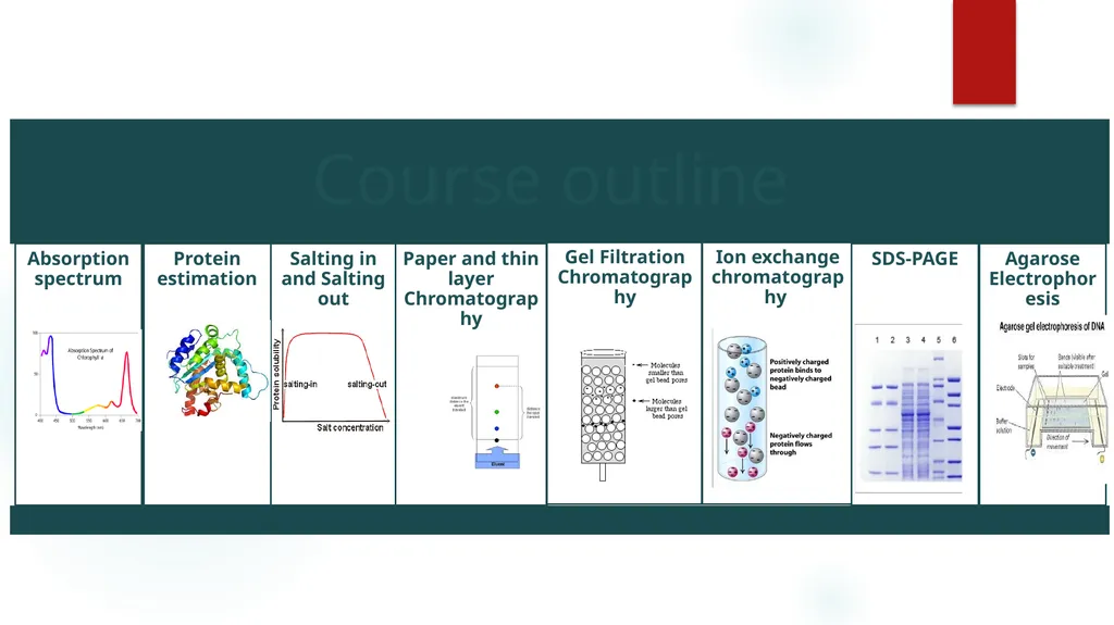 Physical Biochemistry 333 BCH-Introduction Mark - slide 5 of 12