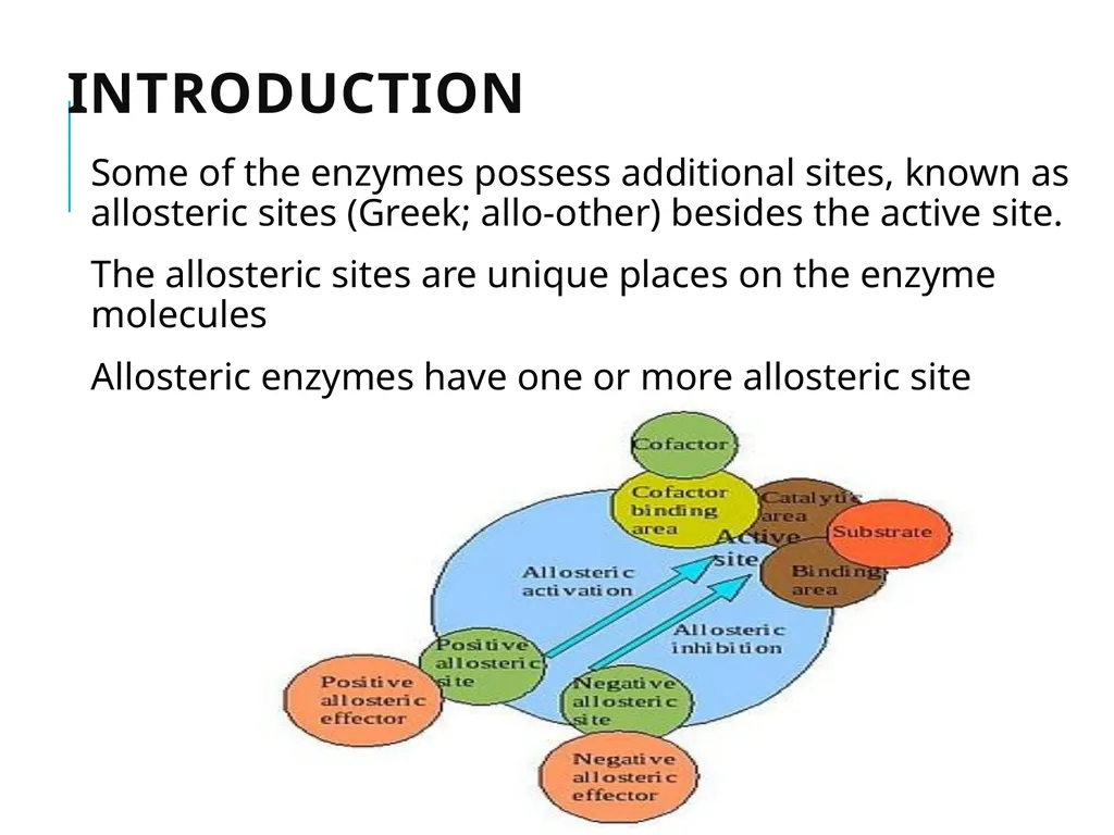 ALLOSTERIC ENZYMES REGULATION By- Shubhani singh - slide 4 of 16