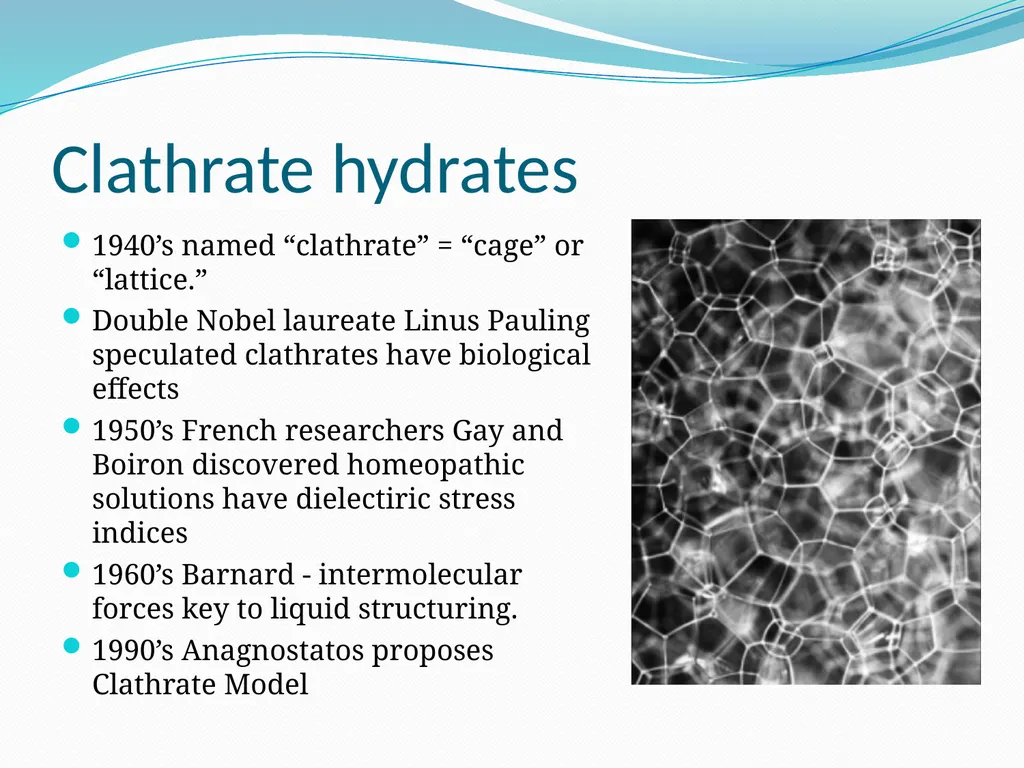 BEYOND THE MOLECULE: Theory Evidence Biological - slide 8 of 45