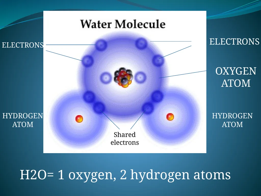 BEYOND THE MOLECULE: Theory Evidence Biological - slide 3 of 45