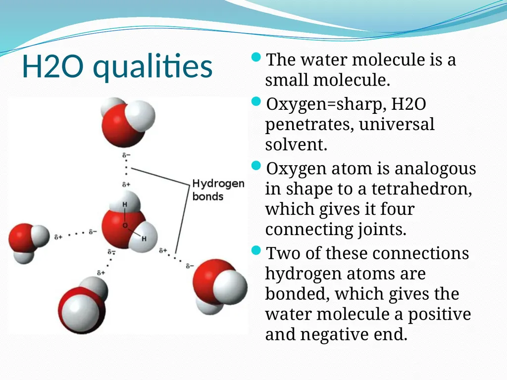 BEYOND THE MOLECULE: Theory Evidence Biological - slide 4 of 45
